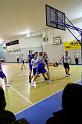 Basket 242093